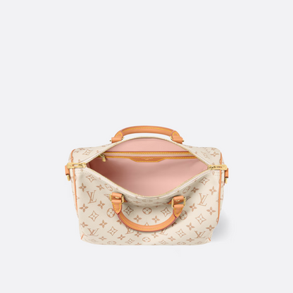 Louis Vuitton Medium-sized Handbag – Exclusive