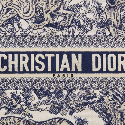 Large Dior Book Tote Bag – Exclusive